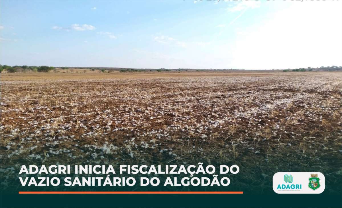 Adagri Inicia Fiscaliza O Do Vazio Sanit Rio Do Algod O No Cariri