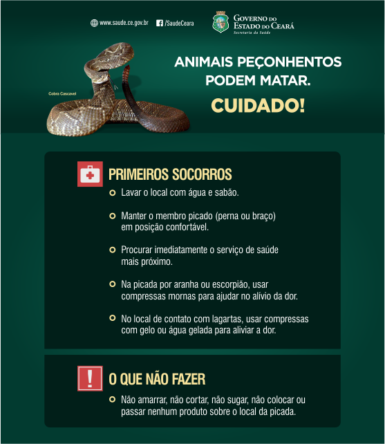 folder digital animais peconhentos julho2016 site 002