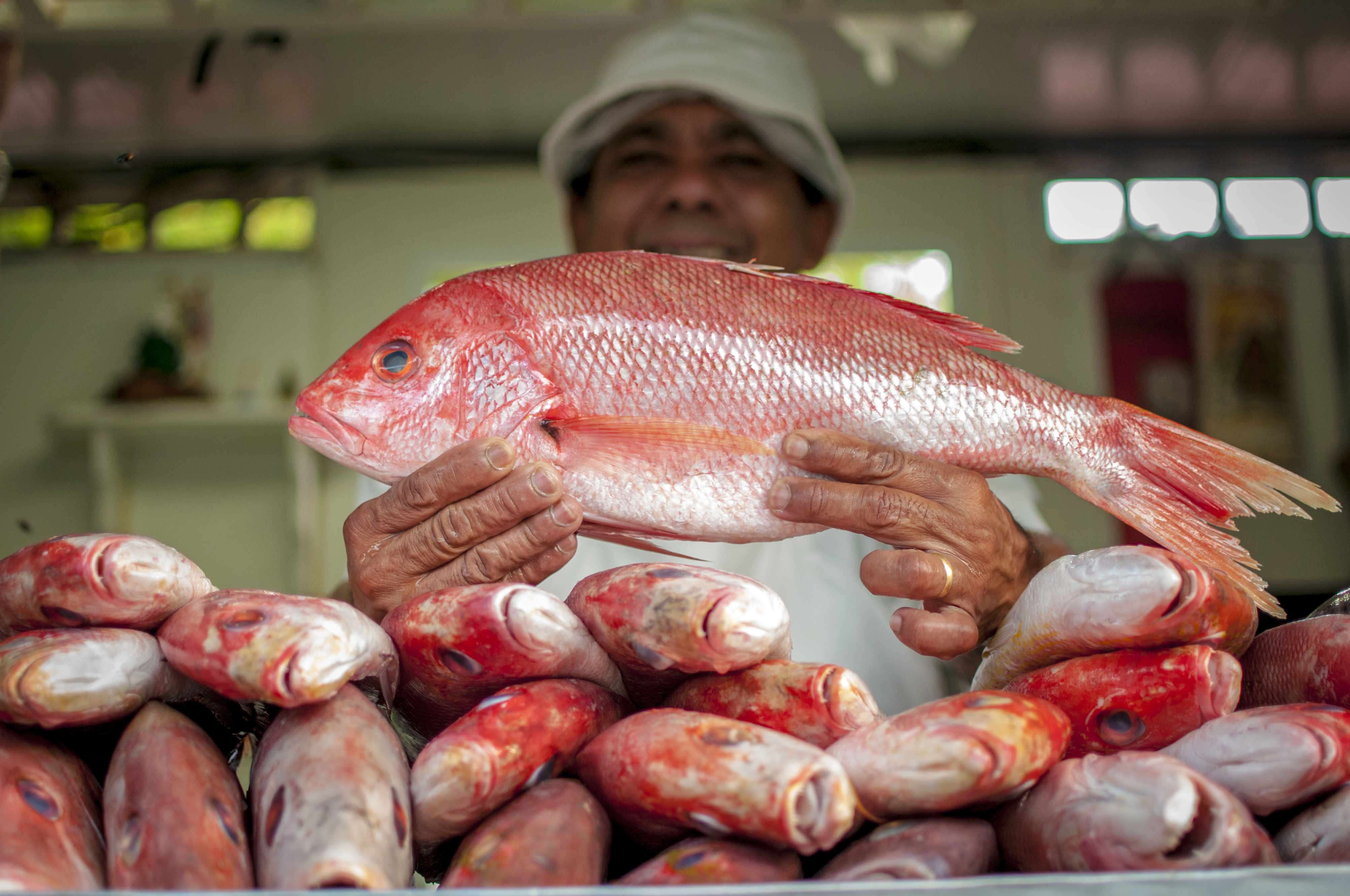 mercado dos peixes